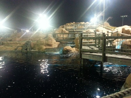 20140422_200337_resized